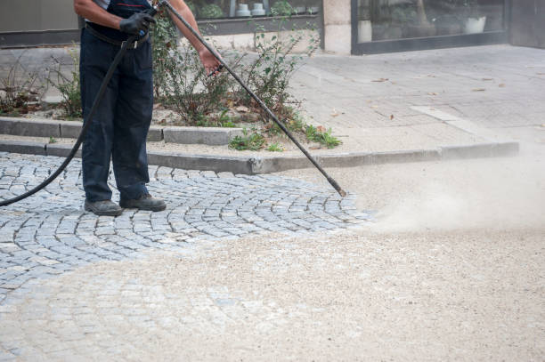 Best Pre-Holiday Cleaning  in Adairsville, GA